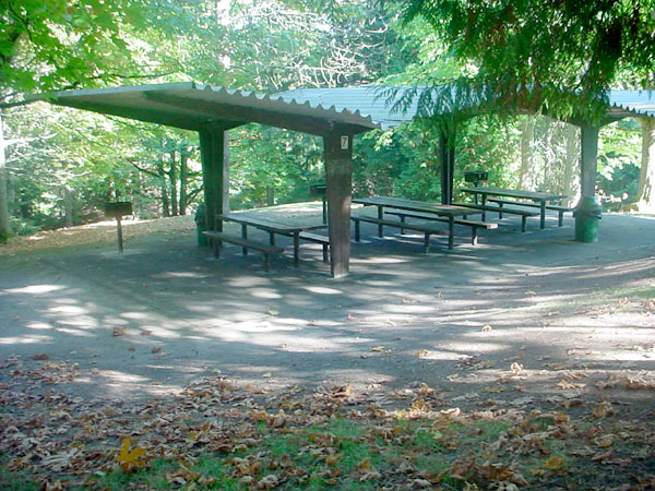 Woodland Park Shelter