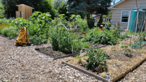 Ballard Edible Garden Tour