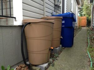 Rain Barrels - Seattle Urban Oasis