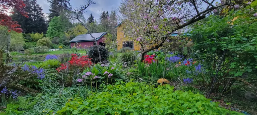 Juanita Garden Tour